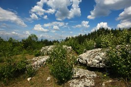 Parki i ogrody ziemi wieluńskiej - Załęczański Park Krajobrazowy - jeden z najpiękniejszych parków w Polsce, bo otulający zakole Warty - Fot. Krzysztof Gara